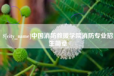 黄山中国消防救援学院消防专业招生简章