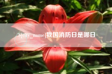 黄山我国消防日是哪日