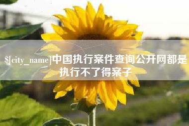 黄山中国执行案件查询公开网都是执行不了得案子