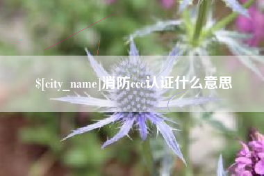 黄山消防ccc认证什么意思