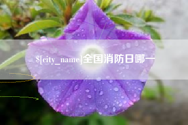黄山全国消防日哪一