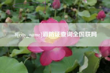 黄山消防证查询全国联网