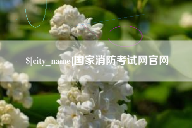 黄山国家消防考试网官网