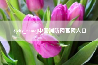 黄山中国消防网官网入口