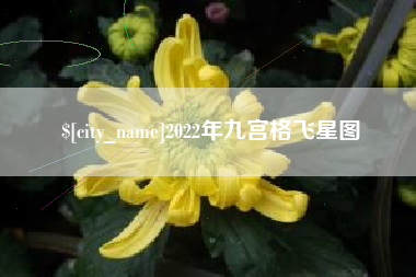 黄山2022年九宫格飞星图