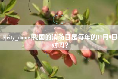 黄山我国的消防日是每年的11月9日对吗？