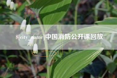 黄山中国消防公开课回放