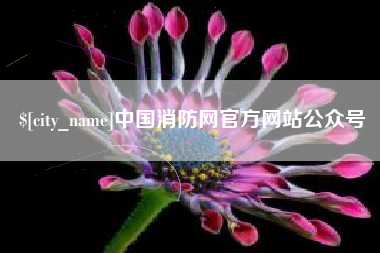黄山中国消防网官方网站公众号