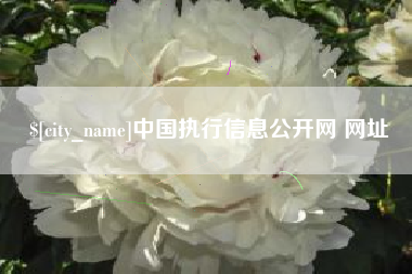 黄山中国执行信息公开网 网址