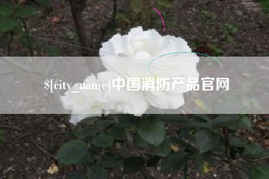 黄山中国消防产品官网
