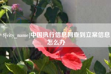 黄山中国执行信息网查到立案信息怎么办