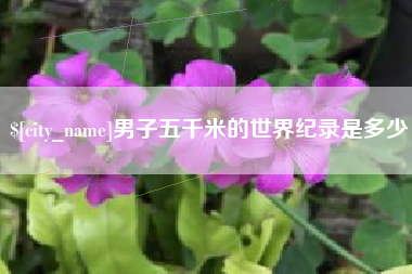 黄山男子五千米的世界纪录是多少
