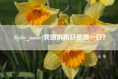 黄山我国消防日是哪一日？