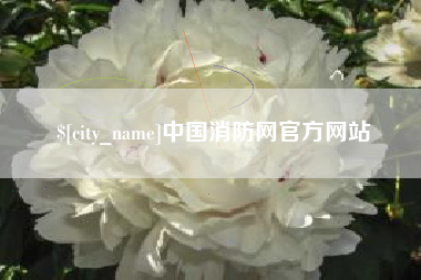 黄山中国消防网官方网站