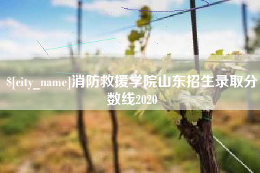 黄山消防救援学院山东招生录取分数线2020