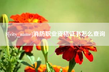 黄山消防职业资格证书怎么查询