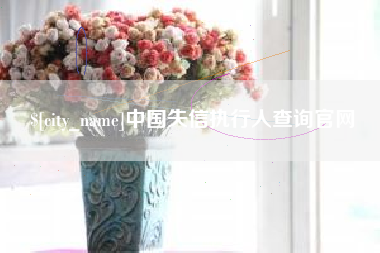 黄山中国失信执行人查询官网