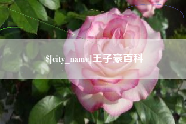 黄山王子豪百科
