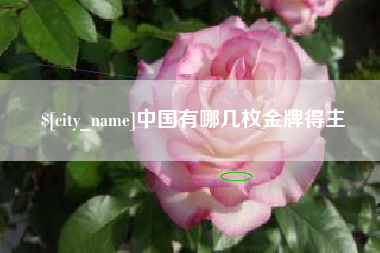 黄山中国有哪几枚金牌得主