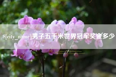 黄山男子五千米世界冠军奖金多少