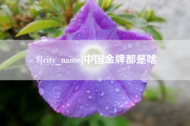 黄山中国金牌都是啥