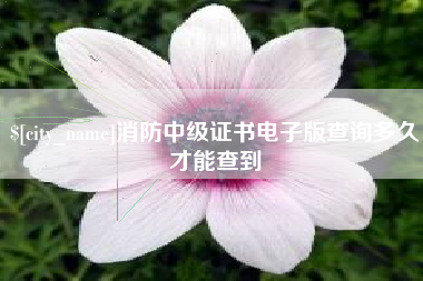 黄山消防中级证书电子版查询多久才能查到