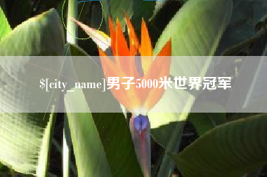 黄山男子5000米世界冠军