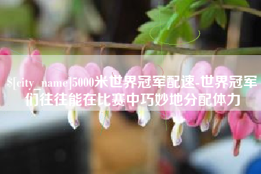 黄山5000米世界冠军配速-世界冠军们往往能在比赛中巧妙地分配体力