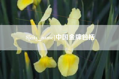 黄山中国金牌包括