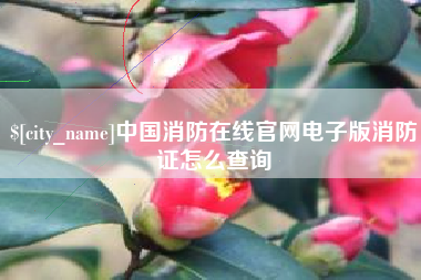 黄山中国消防在线官网电子版消防证怎么查询
