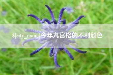 黄山今年九宫格的不利颜色
