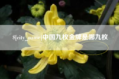 黄山中国九枚金牌是哪九枚