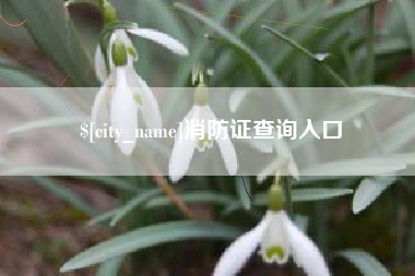 黄山消防证查询入口