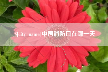 黄山中国消防日在哪一天