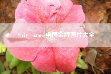 黄山中国金牌图片大全