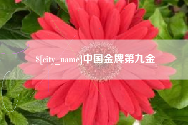 黄山中国金牌第九金
