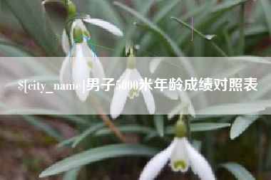 黄山男子5000米年龄成绩对照表