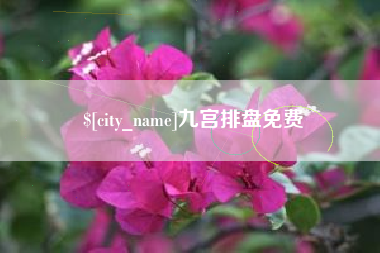 黄山九宫排盘免费