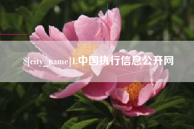 黄山1.中国执行信息公开网