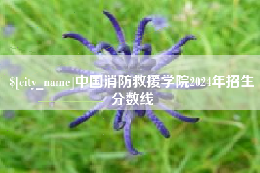 黄山中国消防救援学院2024年招生分数线