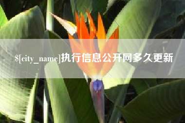 黄山执行信息公开网多久更新