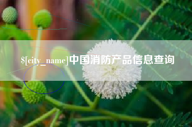 黄山中国消防产品信息查询