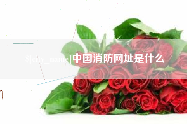 黄山中国消防网址是什么