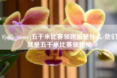黄山五千米比赛领跑员是什么-他们就是五千米比赛领跑员