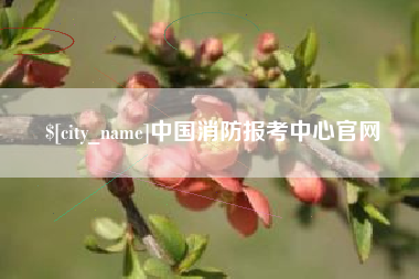 黄山中国消防报考中心官网