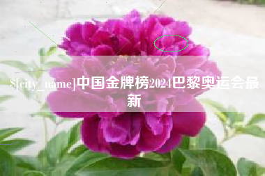 黄山中国金牌榜2024巴黎奥运会最新