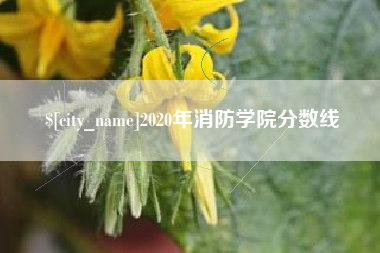 黄山2020年消防学院分数线