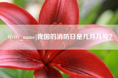 黄山我国的消防日是几月几号？