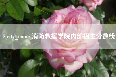 黄山消防救援学院内部招生分数线