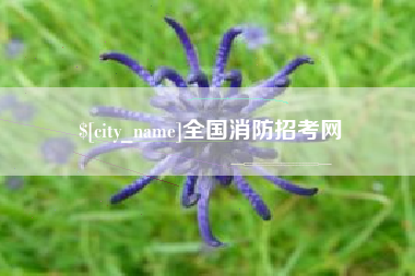 黄山全国消防招考网
